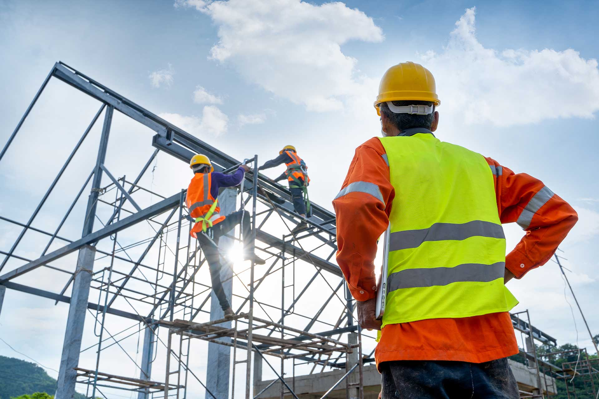 Scaffolder
